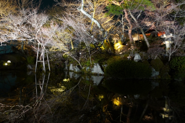 f:id:erra:20140316220817j:image