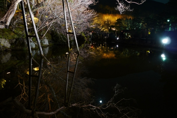 f:id:erra:20140316220818j:image