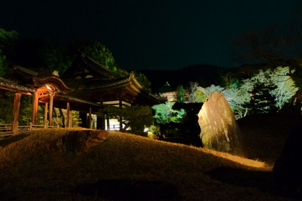 f:id:erra:20140316220842j:image