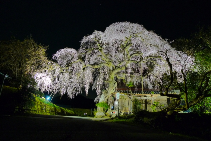 f:id:erra:20140408200629j:image
