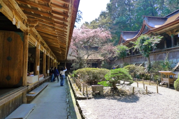 f:id:erra:20140409102733j:image