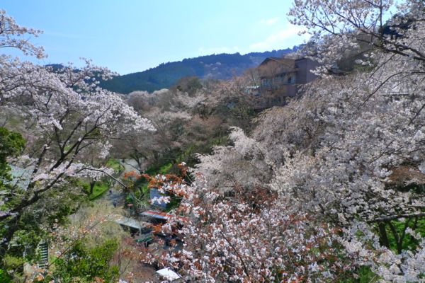 f:id:erra:20140409105227j:image