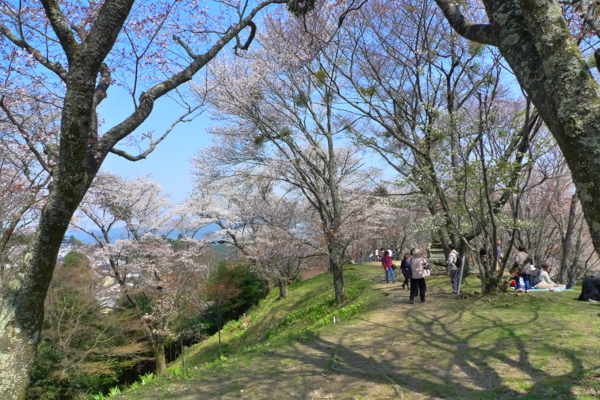 f:id:erra:20140409110028j:image
