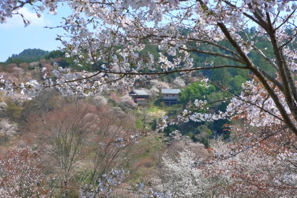 f:id:erra:20140409110820j:image