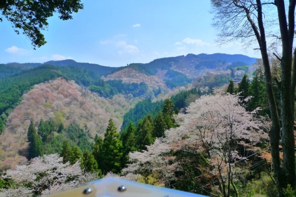 f:id:erra:20140409202335j:image
