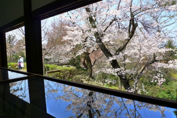 f:id:erra:20140409202339j:image