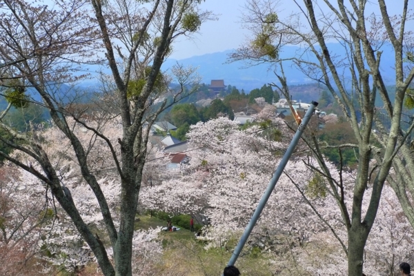 f:id:erra:20140409202345j:image