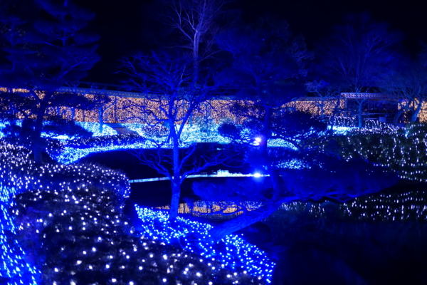 f:id:erra:20150208182927j:image