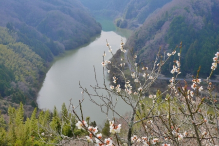 f:id:erra:20150329171812j:image