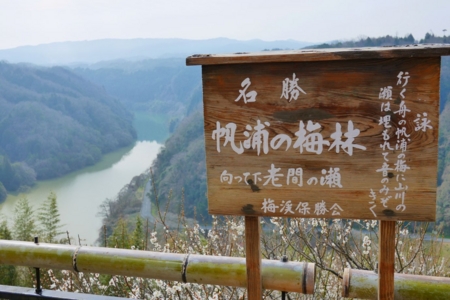 f:id:erra:20150329171814j:image
