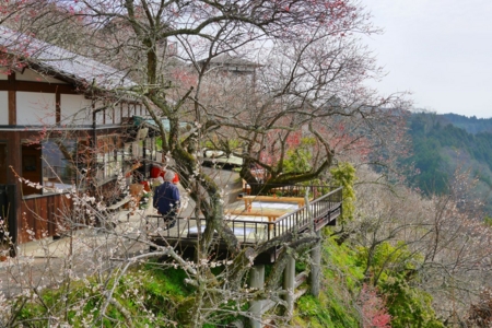 f:id:erra:20150329171815j:image