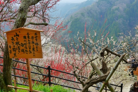 f:id:erra:20150329171816j:image