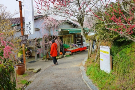 f:id:erra:20150329171817j:image