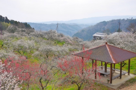 f:id:erra:20150329171821j:image