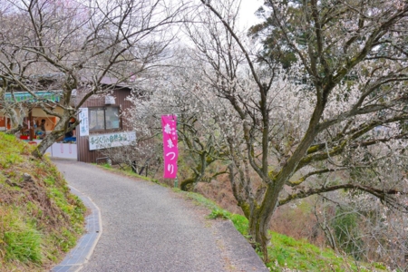 f:id:erra:20150329171823j:image