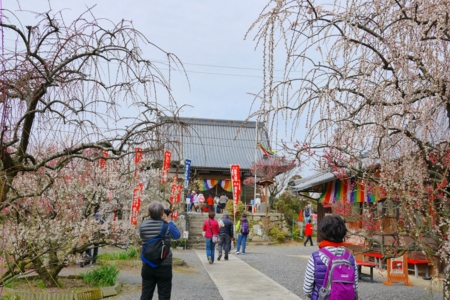 f:id:erra:20150329171824j:image