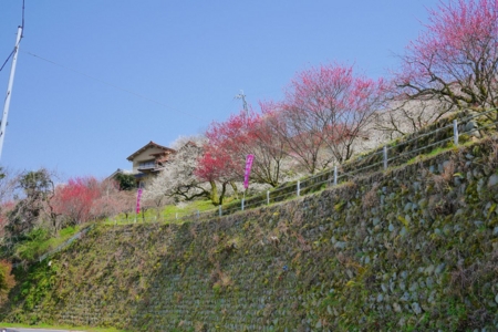 f:id:erra:20150329171826j:image
