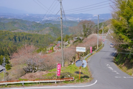 f:id:erra:20150329171827j:image
