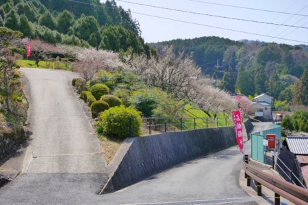 f:id:erra:20150329171828j:image