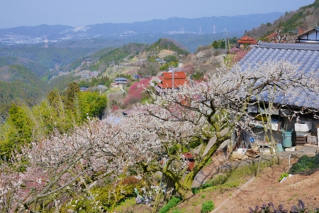 f:id:erra:20150329171829j:image