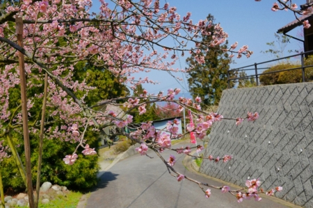 f:id:erra:20150329171830j:image