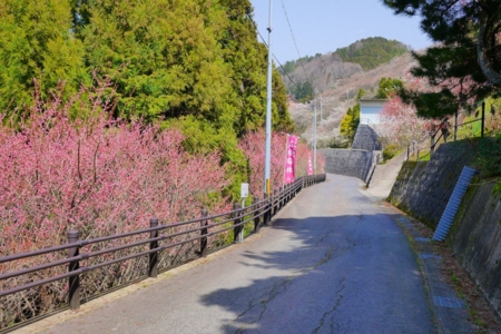 f:id:erra:20150329171831j:image
