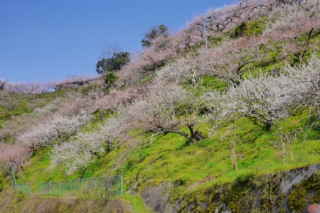 f:id:erra:20150329171833j:image