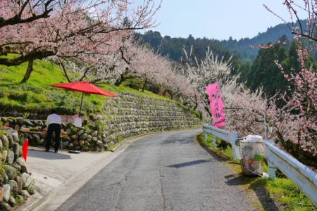 f:id:erra:20150329171834j:image