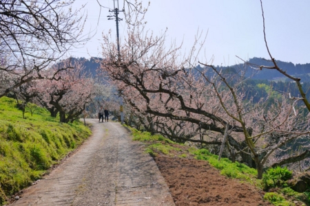 f:id:erra:20150329171835j:image