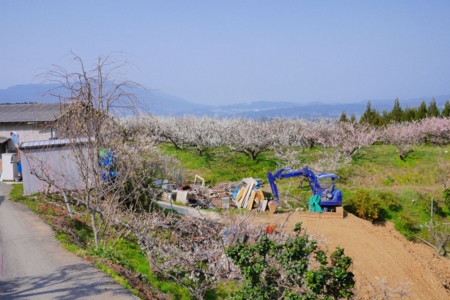 f:id:erra:20150329171839j:image