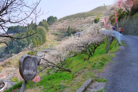 f:id:erra:20150329171844j:image