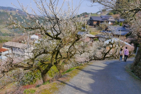 f:id:erra:20150329171848j:image