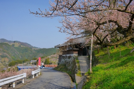 f:id:erra:20150329171849j:image