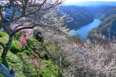 f:id:erra:20150329171856j:image