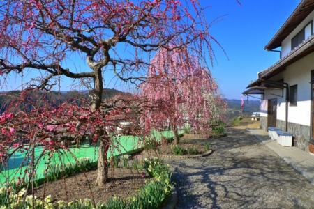 f:id:erra:20150329171857j:image