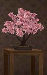 f:id:erra:20160113125750j:image