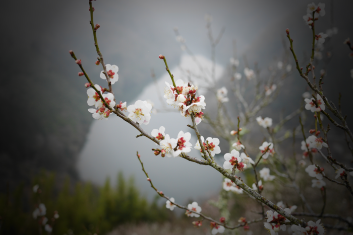 f:id:erra:20160307220920p:image
