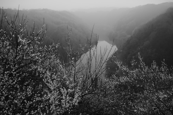 f:id:erra:20160307220922p:image