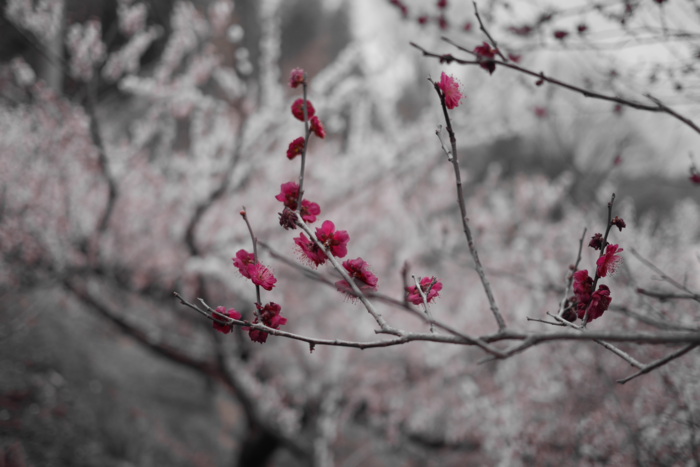 f:id:erra:20160307220928p:image