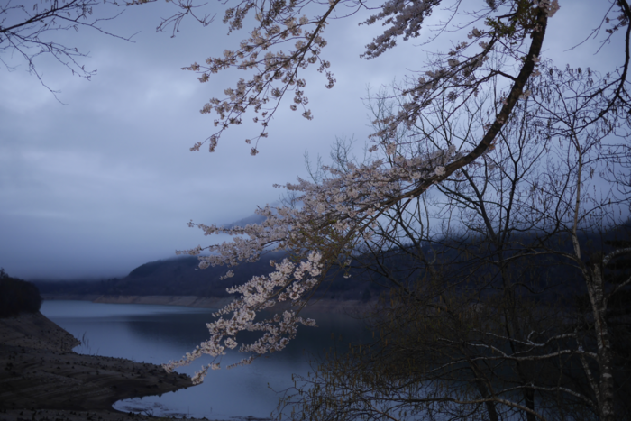 f:id:erra:20160426230459p:image
