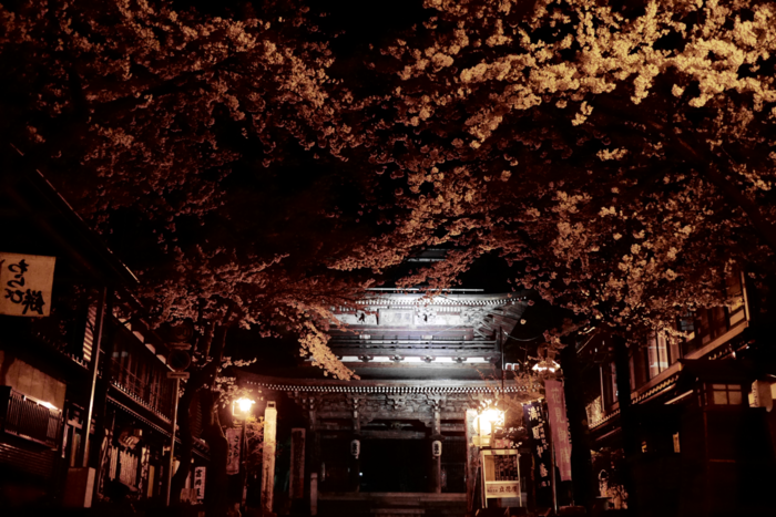 f:id:erra:20160426230532p:image