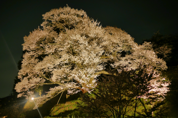 f:id:erra:20160426230610p:image