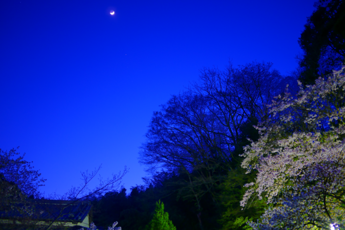 f:id:erra:20160426230613p:image