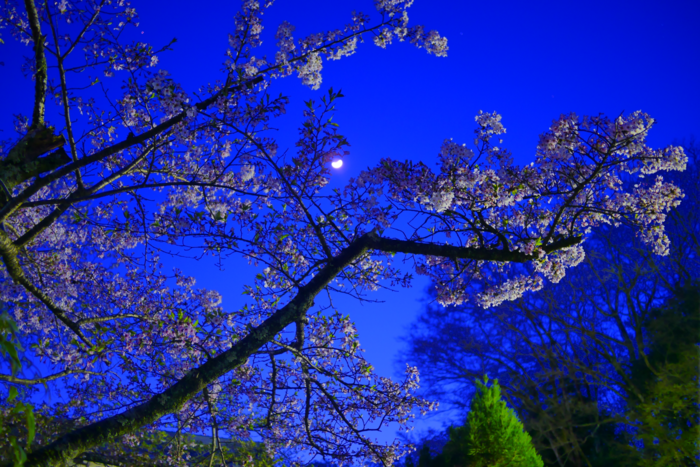 f:id:erra:20160426230614p:image