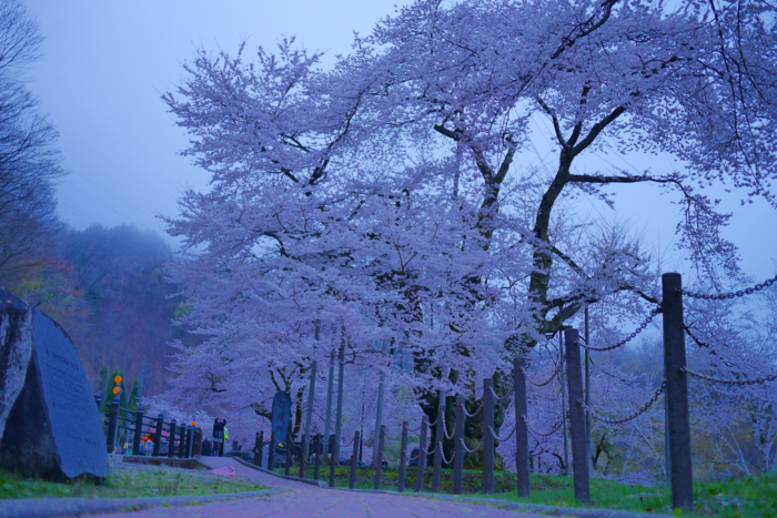 f:id:erra:20160426230616p:image