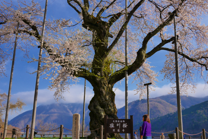 f:id:erra:20160426230621p:image