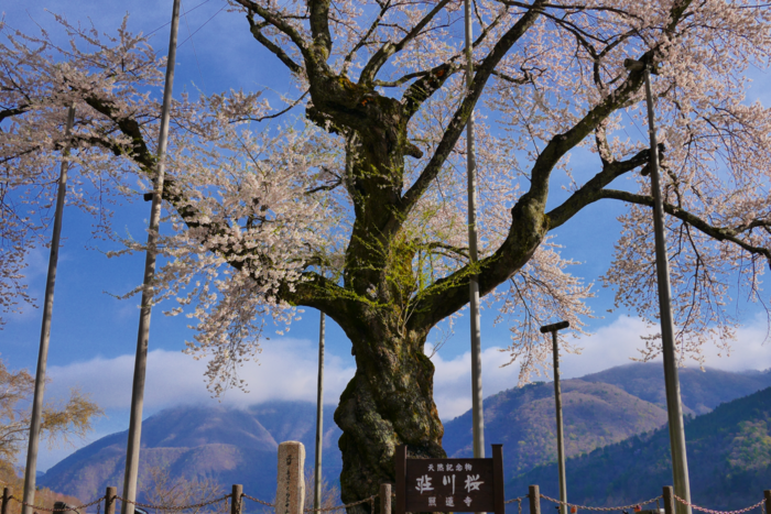 f:id:erra:20160426230623p:image