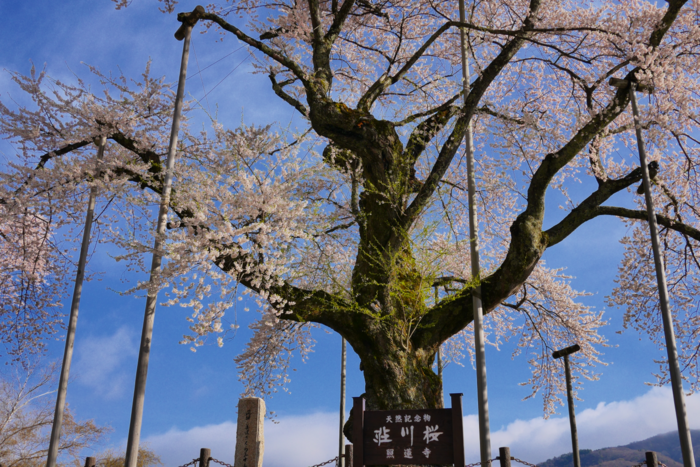 f:id:erra:20160426230624p:image