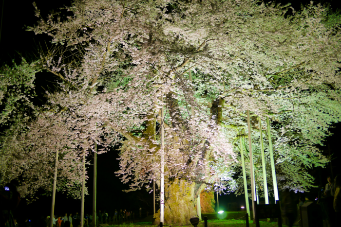 f:id:erra:20160426230640p:image
