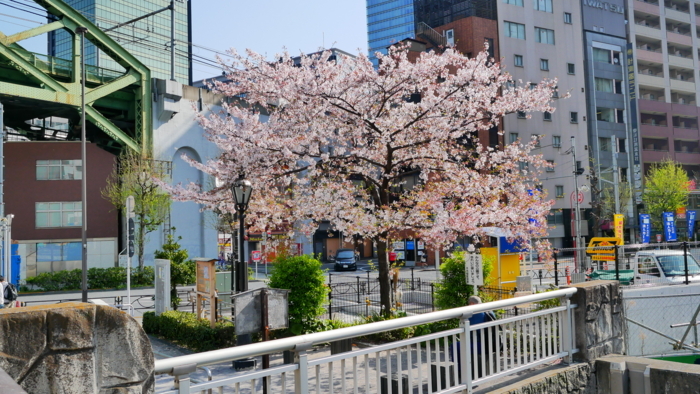 f:id:erra:20180331085607j:image